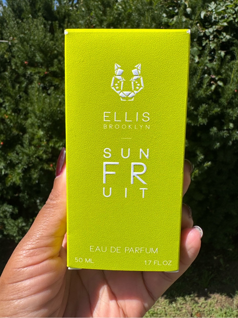 Ellis Brooklyn Sun Fruit